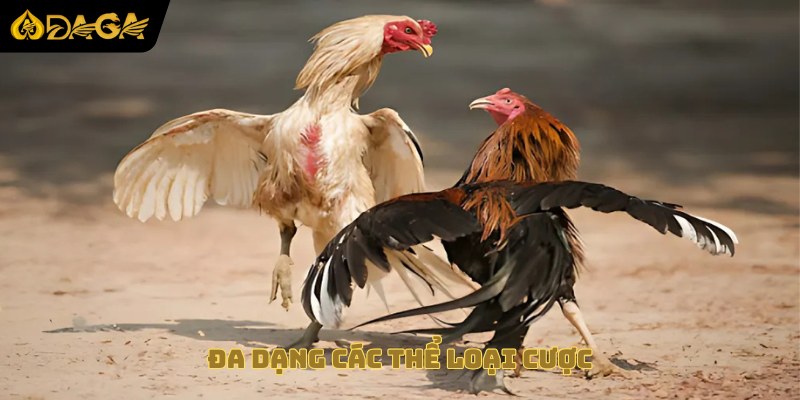 Đa dạng các thể loại cược