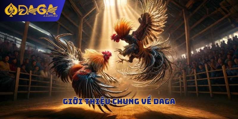 Giới thiệu chung về Daga