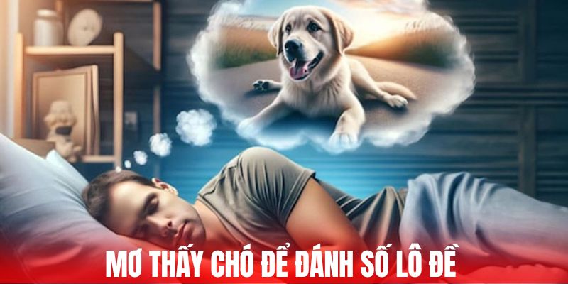 Mơ thấy chó để đánh số lô đề 