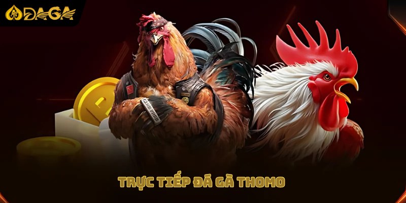 Trực tiếp daga thomo