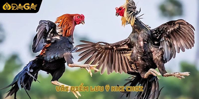 Vài điểm lưu ý khi chơi